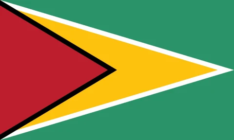 Guyana flag