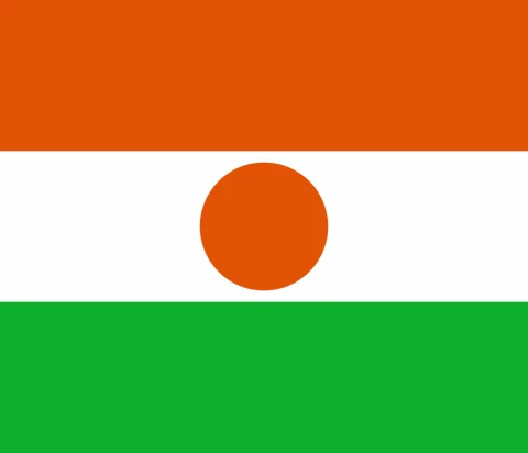 Niger flag