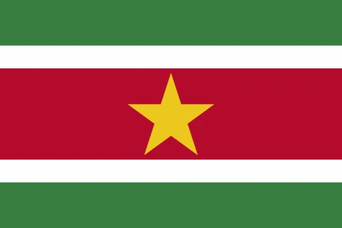 Suriname flag